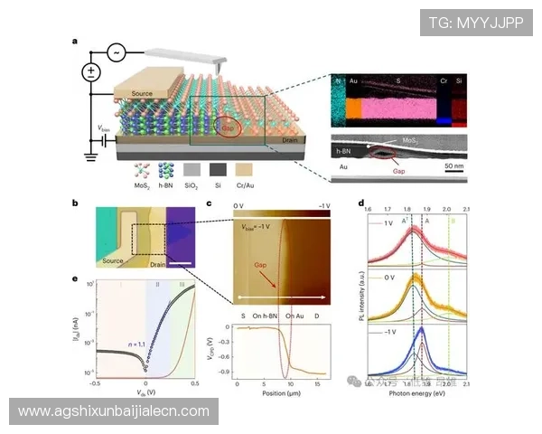 掌握ag电子娱乐技巧实现稳定盈利的实用策略分析