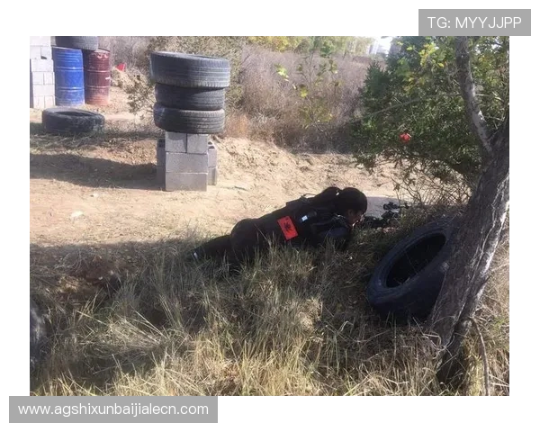 无敌PA龙虎真人体验,尽享真人现场激烈对战的激情时刻 无敌PA龙虎真人体验,尽享真人现场激烈对战的激情时刻