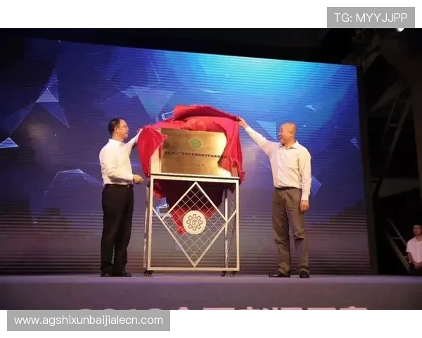 PA视讯官网集团的合作伙伴关系与行业联盟拓展策略详解