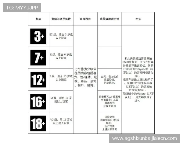 最新AG电子评级标准解读及其对游戏行业未来发展的影响分析