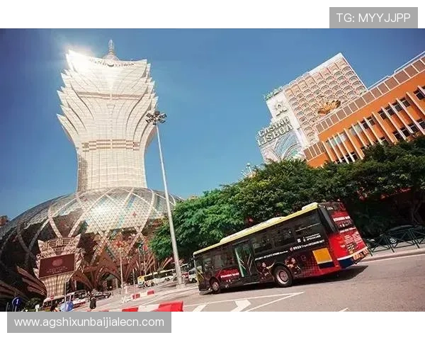 澳门百家乐app有哪些优质平台可以信赖,安全性与稳定性全面分析 澳门百家乐app有哪些优质平台可以信赖,安全性与稳定性全面分析