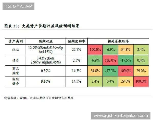 全面解析百家乐走势图的类型与走势变化指导新手快速掌握技巧