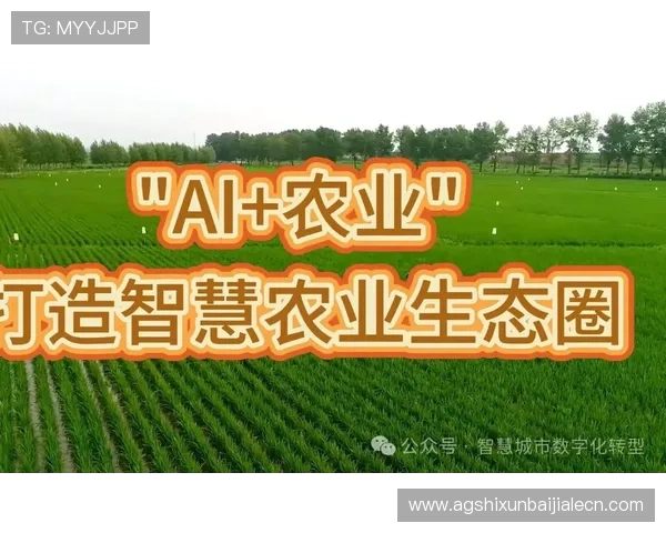 百家网app未来发展趋势与升级计划，了解平台创新动态把握游戏行业新机遇